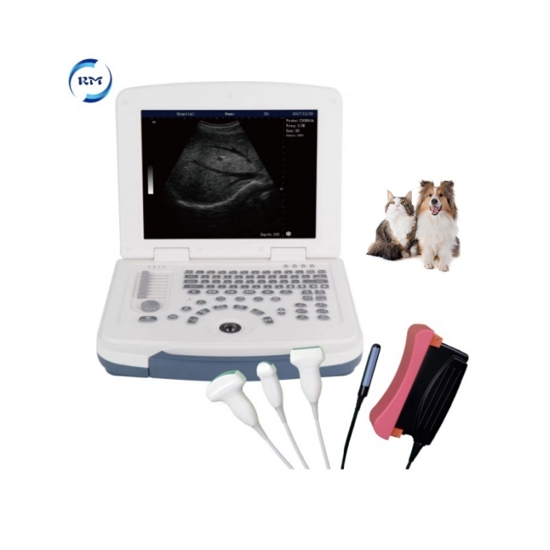 Veterinary ultrasound portable black and white ultrasound scanner 10 inches