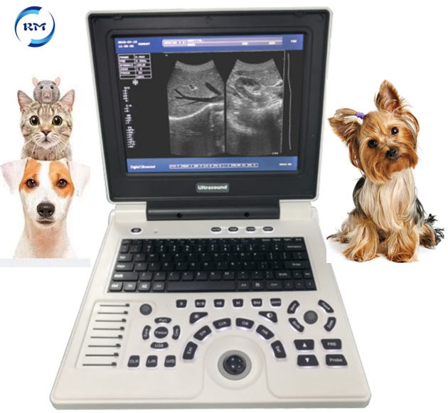 Rayman Veterinary Medical instrument ultrasound portable Scanner ultrasonic Vet ultrasound machine