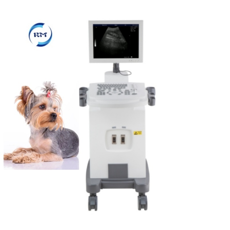 Full Digital ultrasound scanner price b/w trolley ultrasound machine factory price