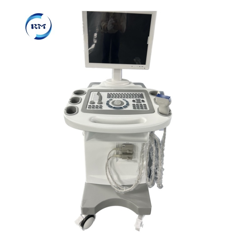 Rayman High Quality Veterinary Portable trolley Ultrasound Scanner Ultrasound Device Ultrasound Machine