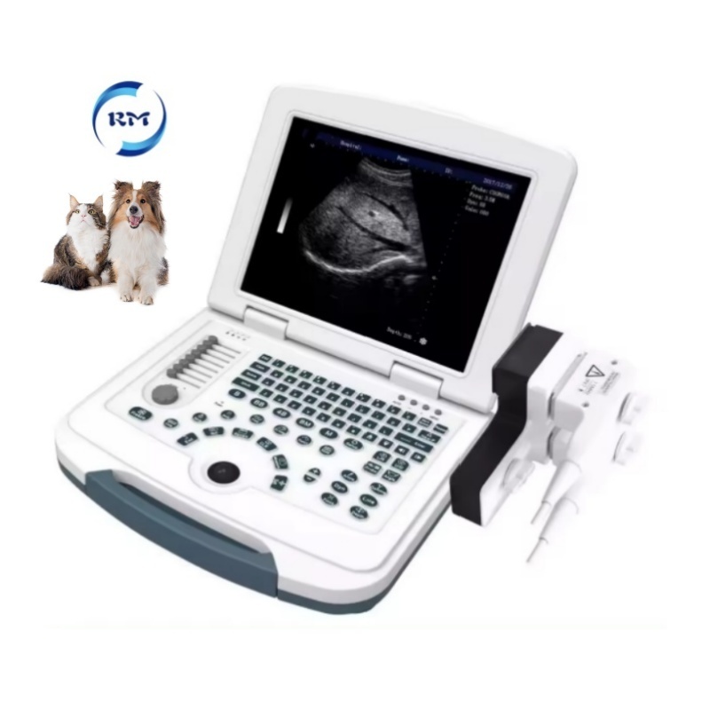 Hot selling veterinary doppler ultrasound veterinary equip veterinary ultrasound table rectal probe