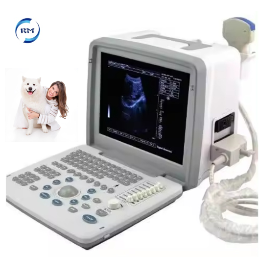 12 Inch Portable B/W VET Pet Animal Veterinary Clinic Hospital Use Ultrasound Scanner Machine