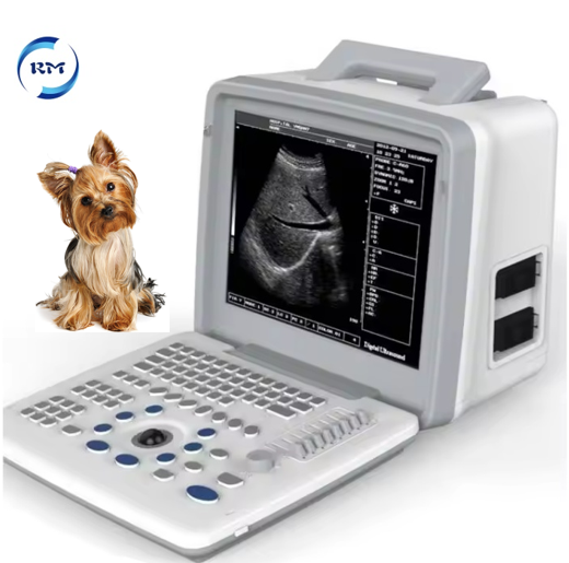 Veterinary 12 inch Full Digital LED Portable Ultrasound Scanner Ultrasound Diagnostic System