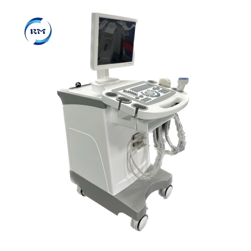 Veterinary Ultrasound Machine /trolley Black White Ultrasound Machine Price /New Trolley Ultrasound scanner