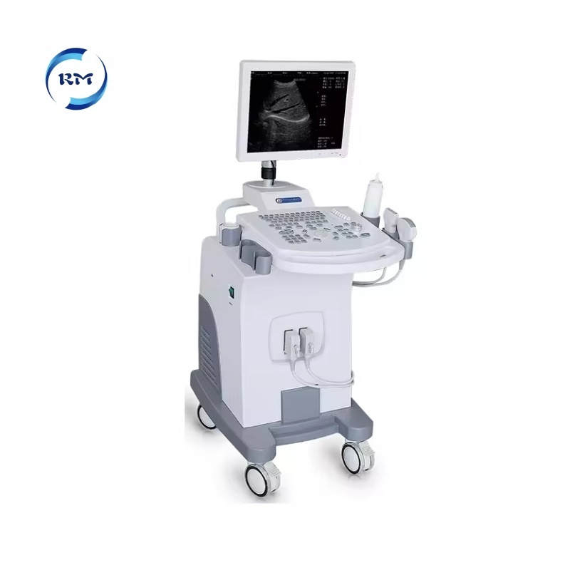 Rayman High Quality Veterinary Portable trolley Ultrasound Scanner Ultrasound Device Ultrasound Machine