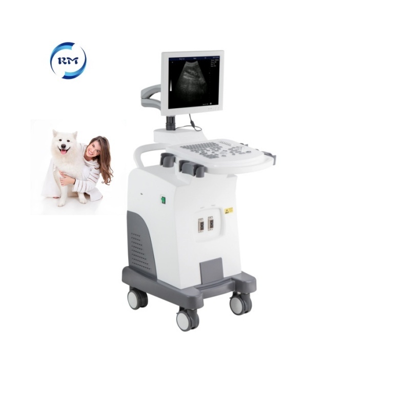 Veterinary Ultrasound Machine /trolley Black White Ultrasound Machine Price /New Trolley Ultrasound scanner