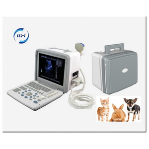 Veterinary 12 inch Full Digital LED Portable Ultrasound Scanner Ultrasound Diagnostic System