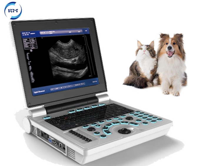 Rayman Veterinary Medical instrument ultrasound portable Scanner ultrasonic Vet ultrasound machine