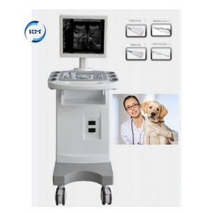 Veterinary Ultrasound Machine /trolley Black White Ultrasound Machine Price /New Trolley Ultrasound scanner