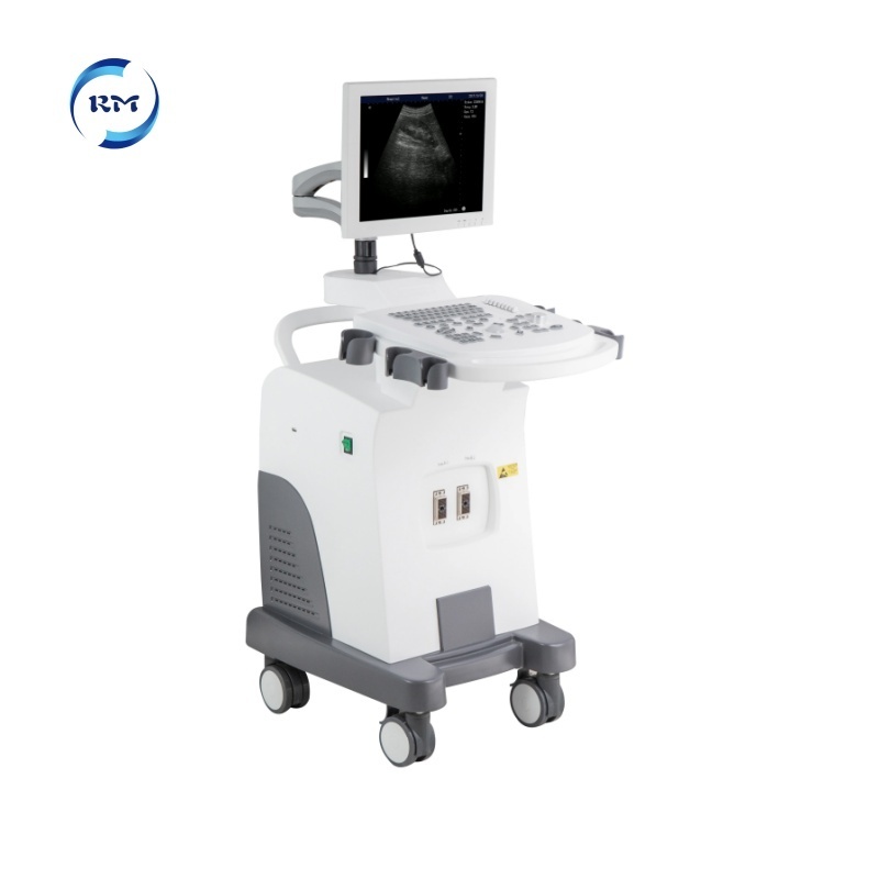 Rayman High Quality Veterinary Portable trolley Ultrasound Scanner Ultrasound Device Ultrasound Machine