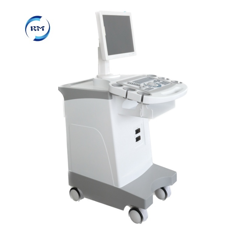 Veterinary Ultrasound Machine /trolley Black White Ultrasound Machine Price /New Trolley Ultrasound scanner