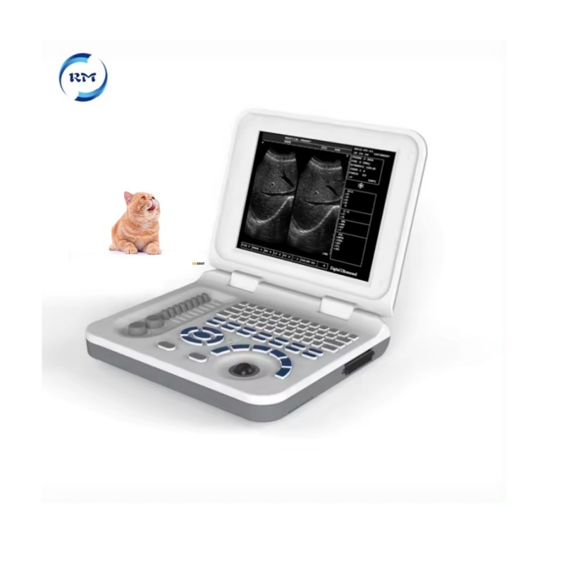 Veterinary ultrasound portable black and white ultrasound scanner 10 inches