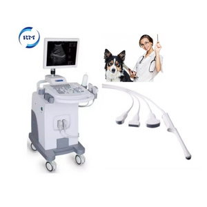 Full Digital ultrasound scanner price b/w trolley ultrasound machine factory price