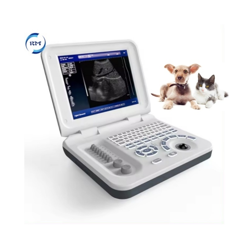 Veterinary ultrasound portable black and white ultrasound scanner 10 inches