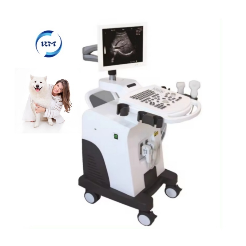 Full Digital ultrasound scanner price b/w trolley ultrasound machine factory price