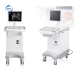 Rayman High Quality Veterinary Portable trolley Ultrasound Scanner Ultrasound Device Ultrasound Machine