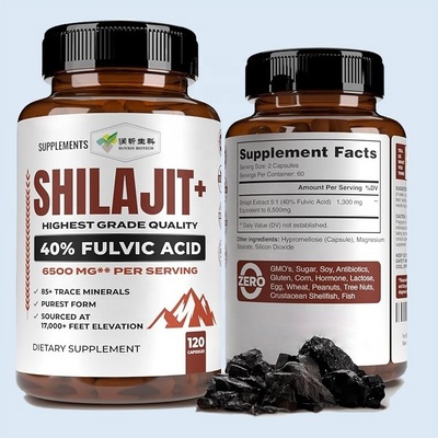 OEM shilajit resin pure himalayan shilajit capsules puro natural extract 10% 40% fulvic acid original pills shilajit capsules