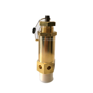 High Pressure 0.3Mpa 0.4Mpa Copper Pressure Relief Safety Valve for Screw Air Compressor Spare Parts