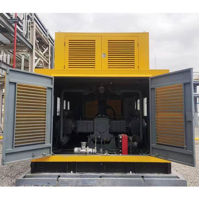 Customized CNG Station 315kW Industrial Natural Gas Special Gas Piston Compressor for Petrochemical