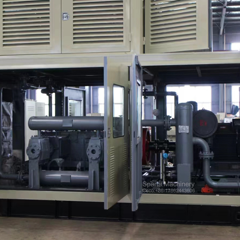 Customized CNG Station 315kW Industrial Natural Gas Special Gas Piston Compressor for Petrochemical