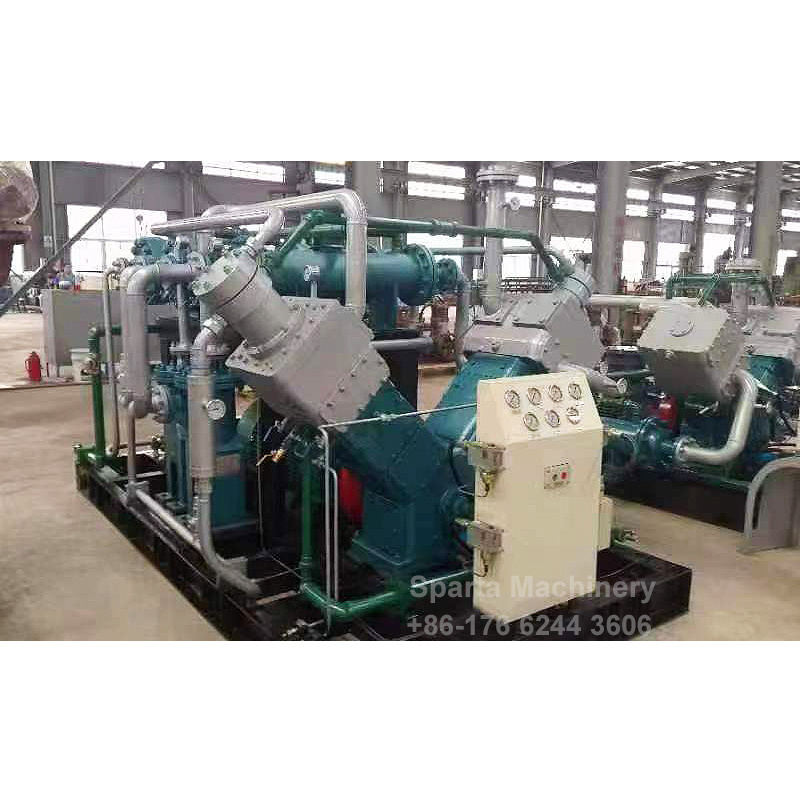 Customized CNG Station 315kW Industrial Natural Gas Special Gas Piston Compressor for Petrochemical