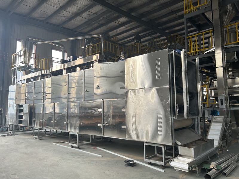 1000KG/H Dog food pet food processing machine