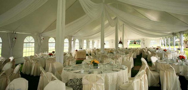 10x20ft/3x6 M Size and party/wedding/show/canopy/gazebo Application wedding party tent