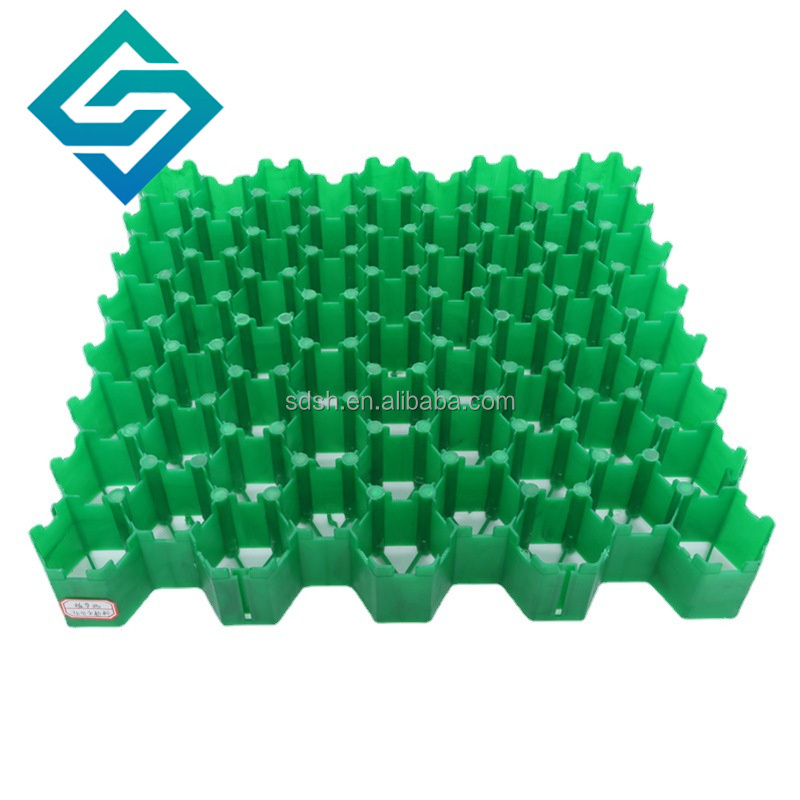 Planting grass/Grass paver grid/HDPE plastic for parking driveway slope