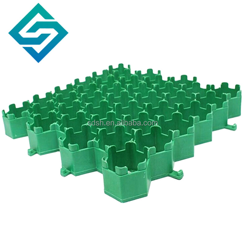 Planting grass/Grass paver grid/HDPE plastic for parking driveway slope