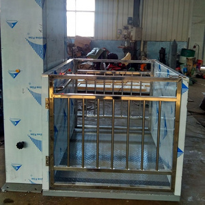 Home elevator /Wheelchair lift platform with different types use for different multifunction