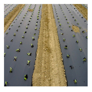 Factory directly sale biodegradable polyethylene sheet keep soil moisture plastic mulch film for agriculture