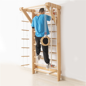 Factory supplying push up bar equipment gymnastic wall mount pull up bars wooden ladder