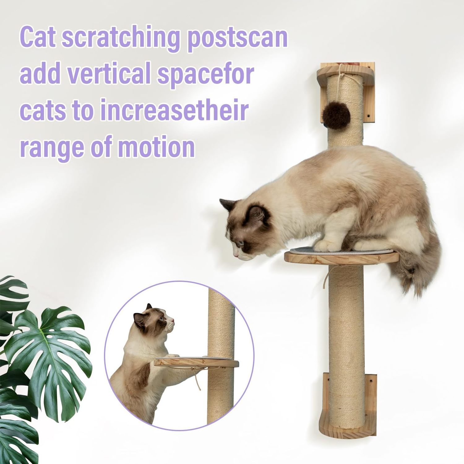 Latest Styles Cat Activity Tree with Scratch Posts, Wall Mounted Jute Scratcher Pine Hammock for Cats Sustainable 5 Pcs Pet Cats