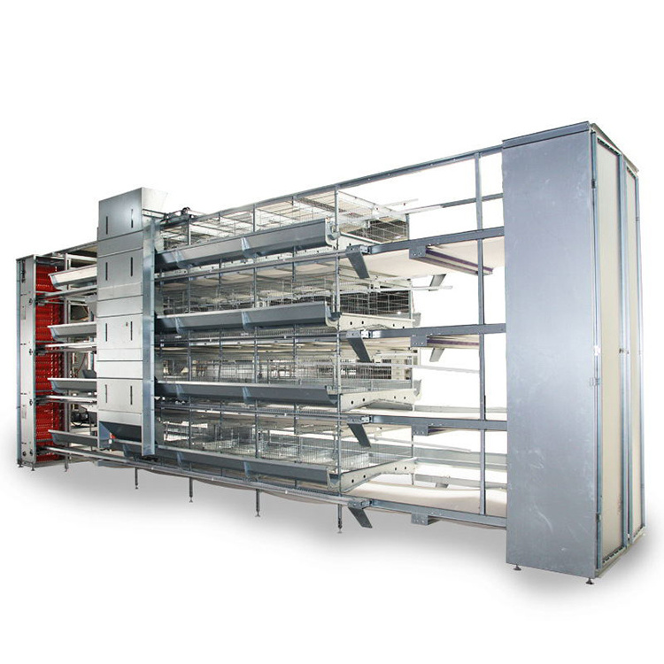 New Breeding Equipment H-shaped Egg Chicken Cage With Conveyor Belt And Automatic Egg Picking And Feeding Cage