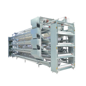 New Breeding Equipment H-shaped Egg Chicken Cage With Conveyor Belt And Automatic Egg Picking And Feeding Cage