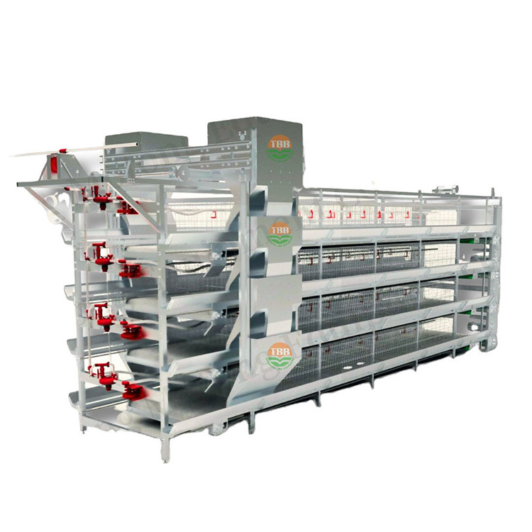 New Breeding Equipment H-shaped Egg Chicken Cage With Conveyor Belt And Automatic Egg Picking And Feeding Cage