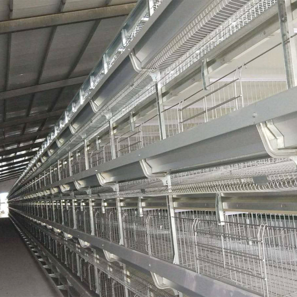 TBB Promotions 2023 Cage for laying hens used poultry battery cages and farm equipment for sale