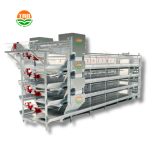 New Design Full Automated 4 Tiers Layer Chicken Raising Farming Equipment in Africa