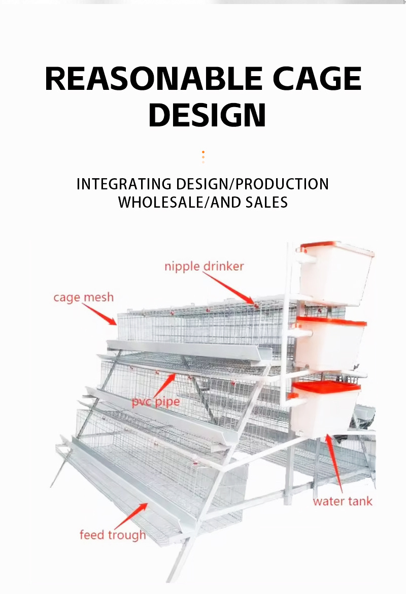 Hot Selling High Quality Automatic Poultry Breeding Chicken Coop A Type Laying Hens Battery Chicken Cage