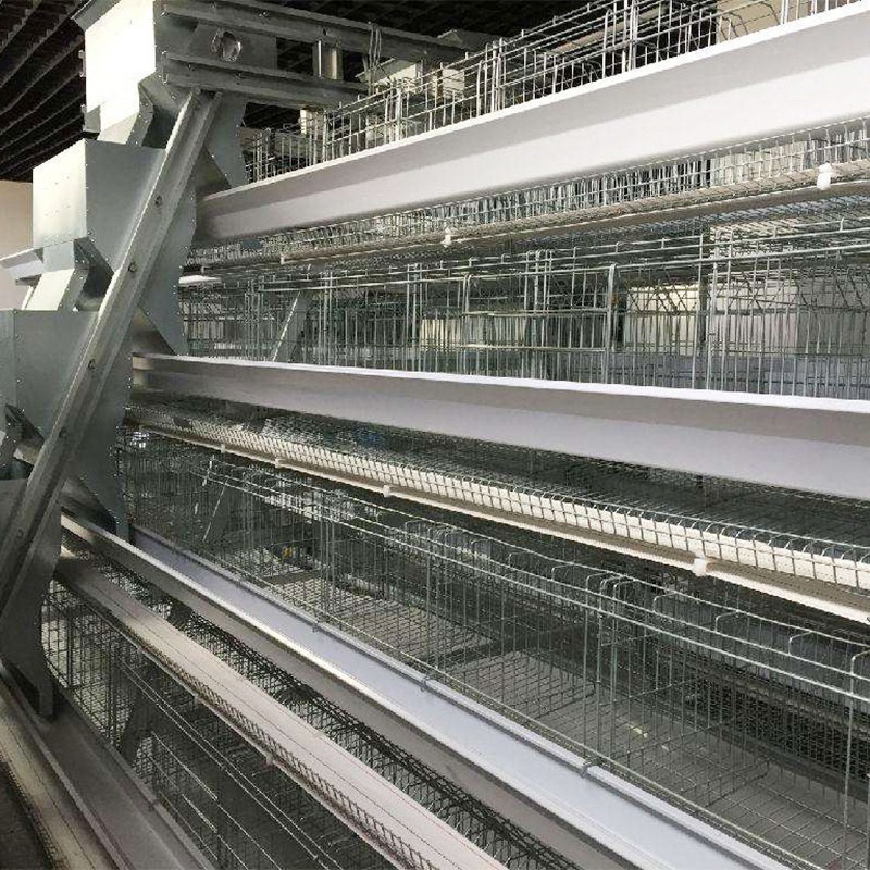 TBB Promotions 2023 Cage for laying hens used poultry battery cages and farm equipment for sale