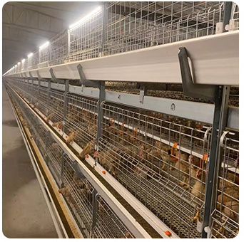 Automatic Industrial Cheap Laying Hens Large Chicken House Broiler Cage With Conveyor Belt