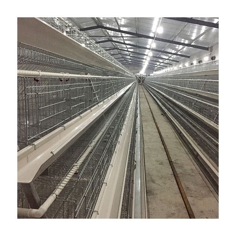 2024 Factory'S Latest Automatic Chick Battery Cage Chicken Offers A Type A Layer Cage