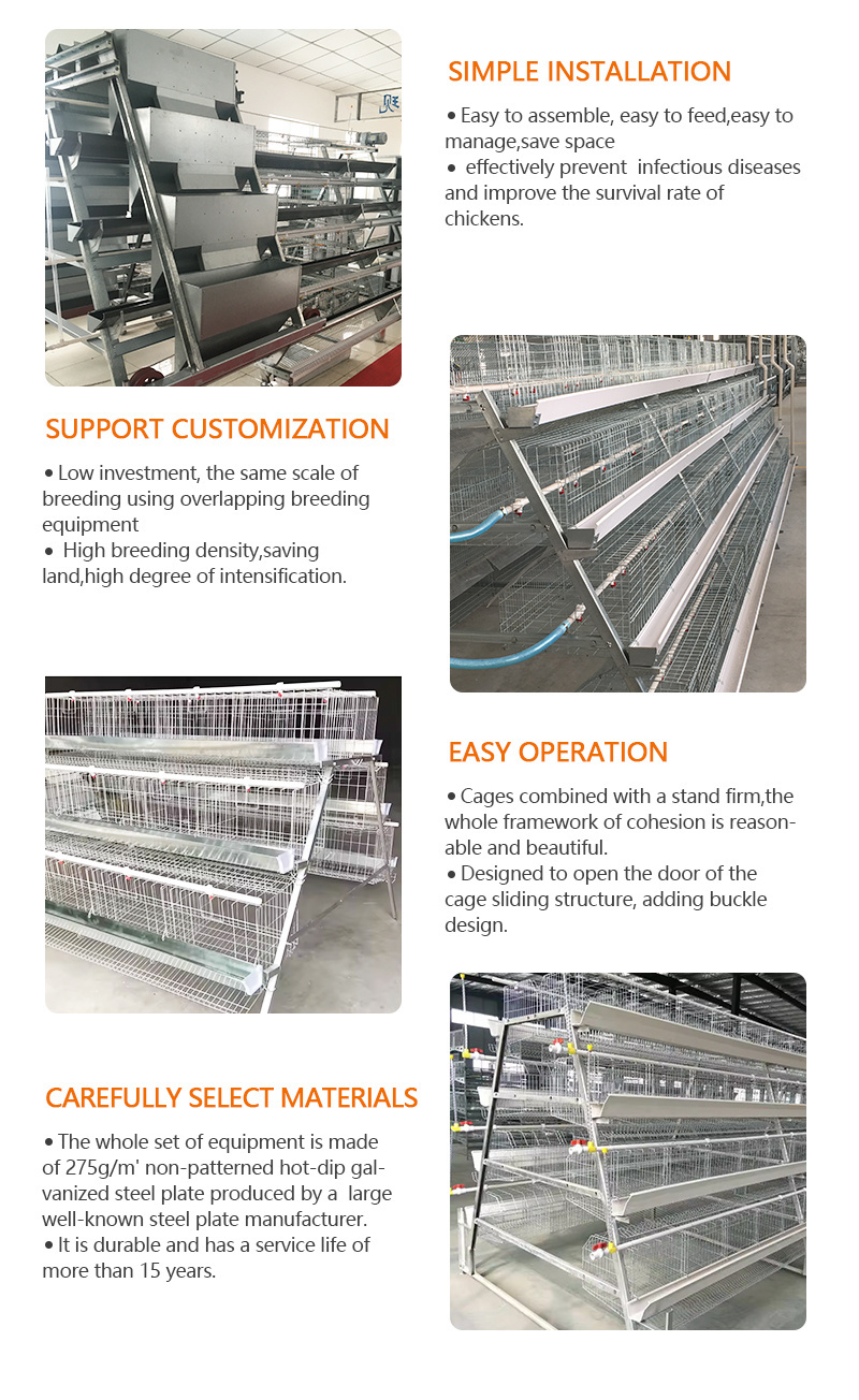 Hot Selling Top Class A Poultry Equipment Layer Cages With 96 Poultry Cages