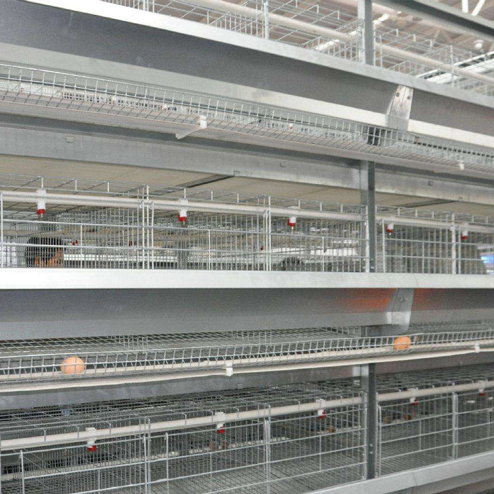 TBB Promotions 2023 Cage for laying hens used poultry battery cages and farm equipment for sale