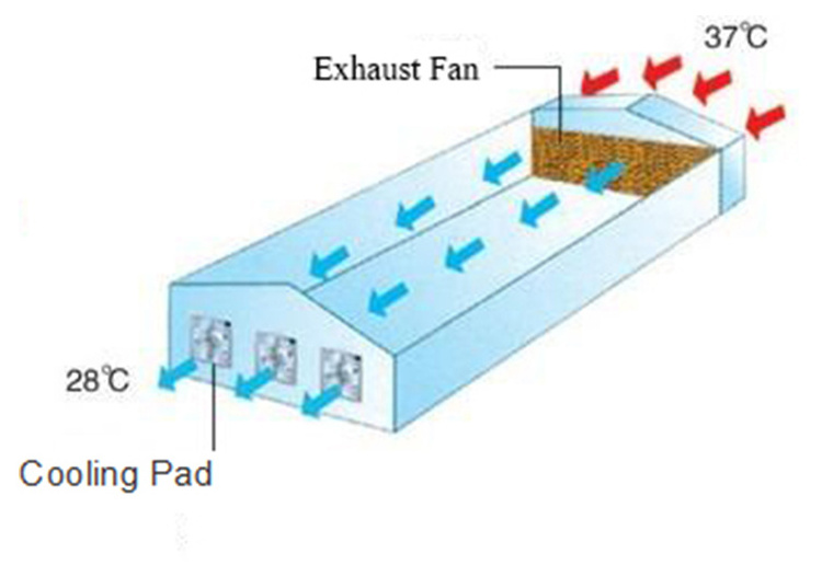 Greenhouse Poultry farm Workshop Cooling System Evaporative Cooling Pad