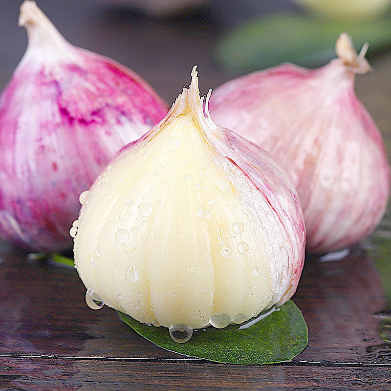 Fresh Solo garlic single clove garlic factory directly supply FOB Reference Price:Get Latest Price