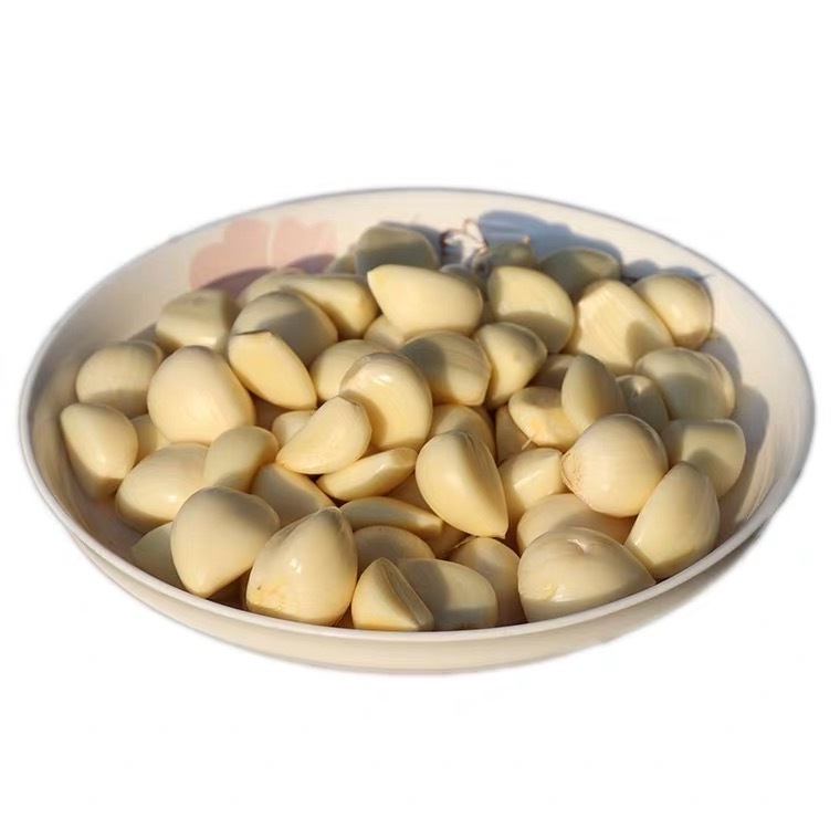 New Chinese Per Ton Solo Seed Granules Fresh Garlic Supplier