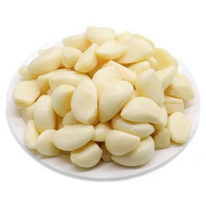 New Chinese Per Ton Solo Seed Granules Fresh Garlic Supplier