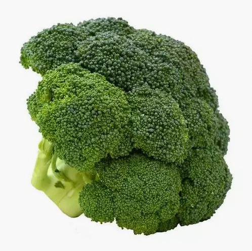 Hot Sale Quick Frozen Broccoli Natural Chinese Frozen Vegetables 1kg*10bags/carton frozen broccoli stems