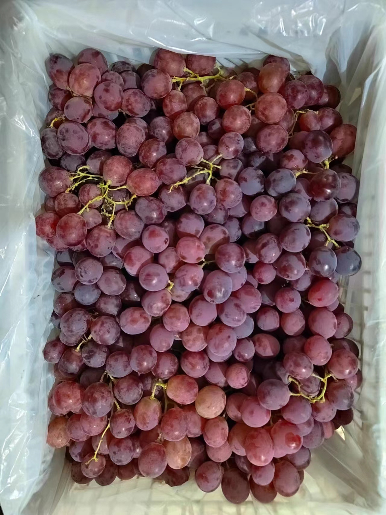 Fresh red globe grapes Chinese red grapes red globe grape